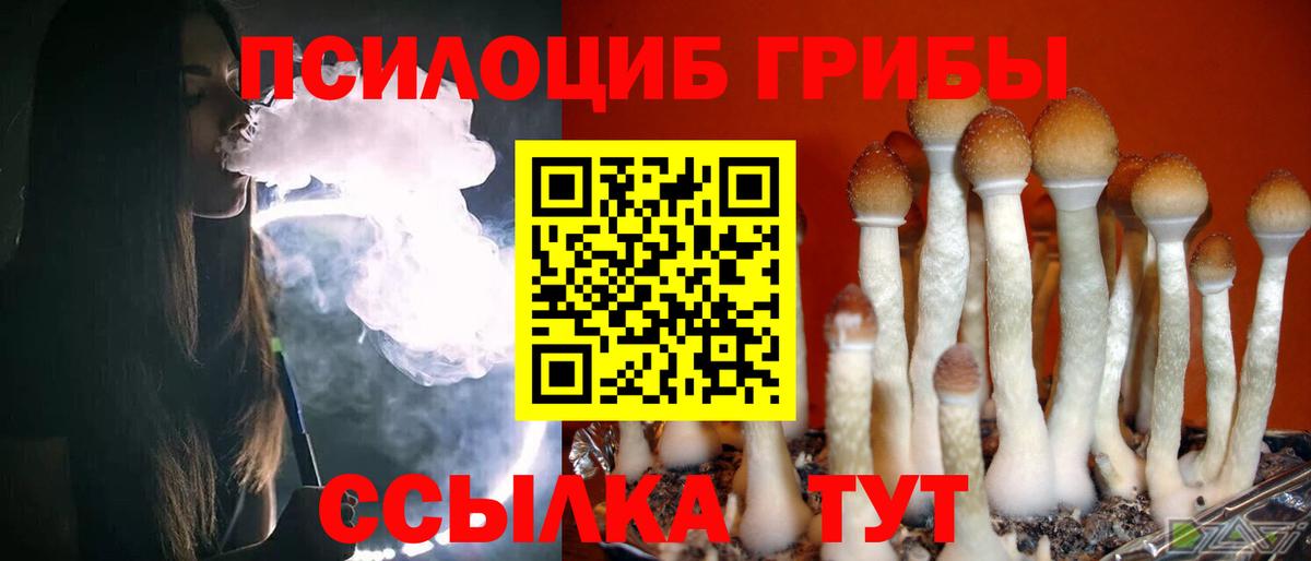 Галлюциногенные грибы Magic Shrooms Конаково