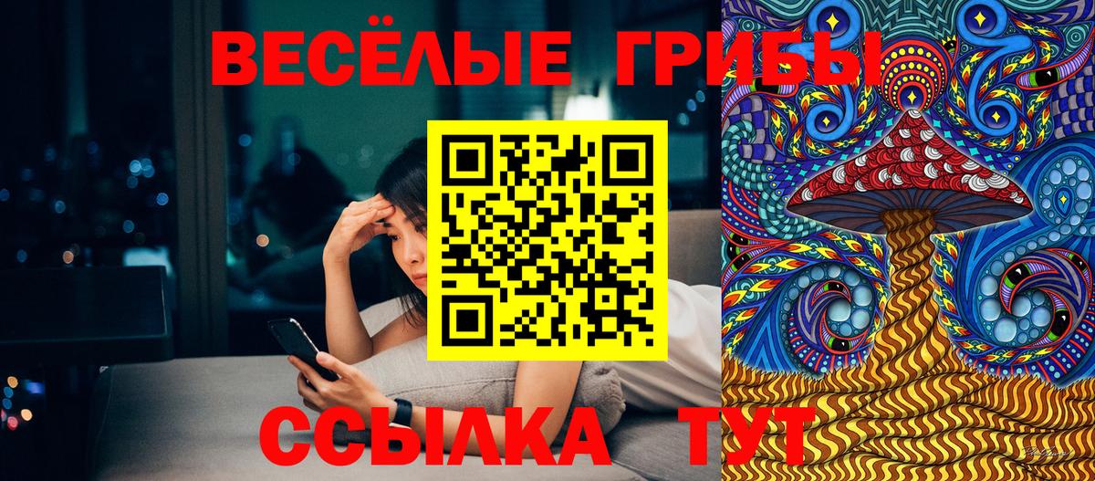 Галлюциногенные грибы ЛСД  Вход с VPN  дарнет шоп  Галлюциногенные грибы прущие грибы  Конаково 